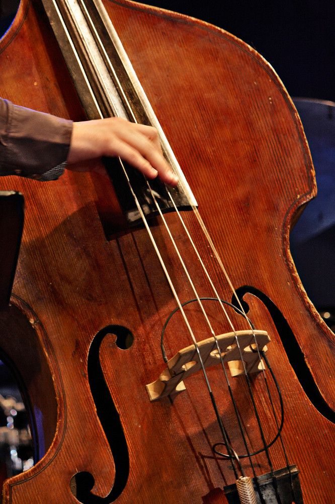 Gypsy Jazz Band Swindon Double Bass Hot Club Two Swindon